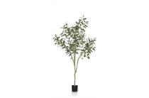 Coco Maison COCO MAISON accessoire Eucalypthus Tree plant H195cm